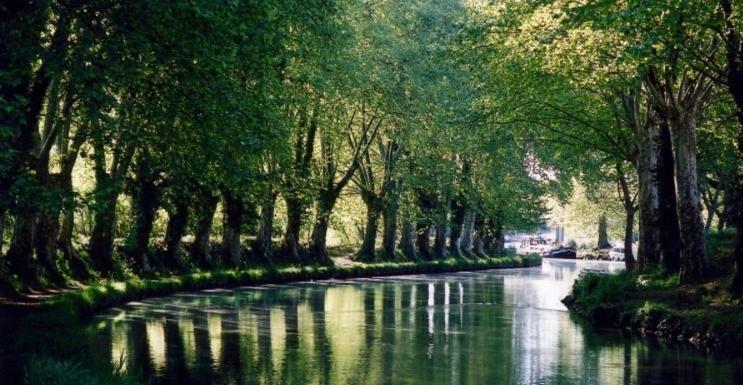 Toulousaine * Grisolles (Tarn-et-Garonne)